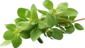 Footer Leaf