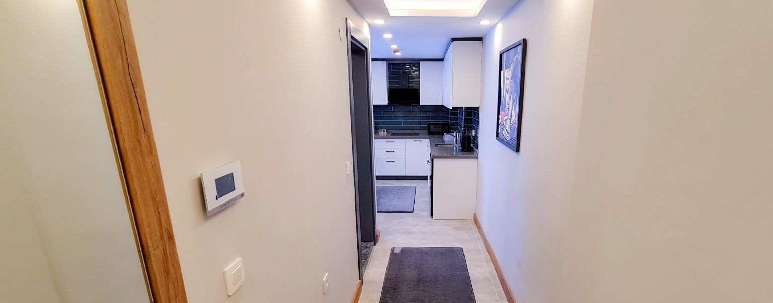 Deluxe 1+1 Apartment