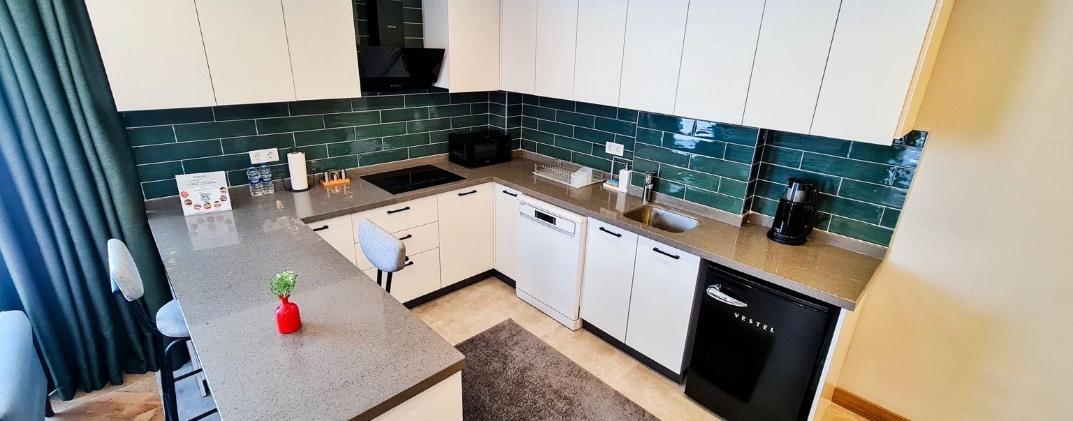 Deluxe 1+1 Apartment